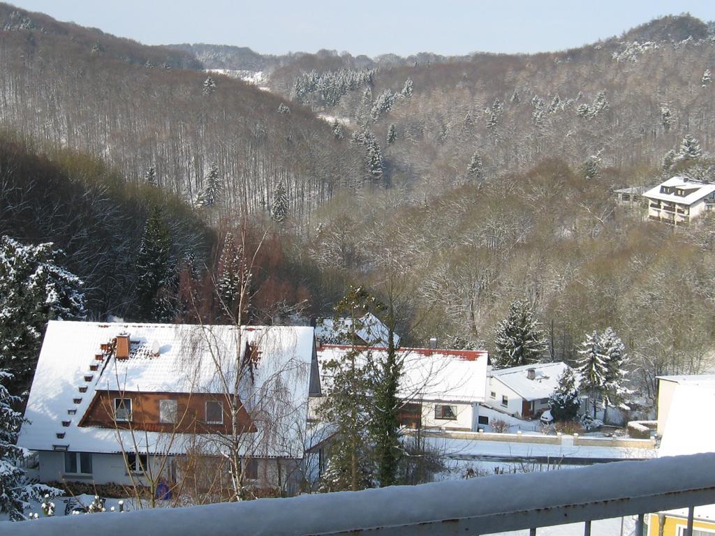 Schlossberg Ferienwohnung Waldeck  Eksteriør bilde